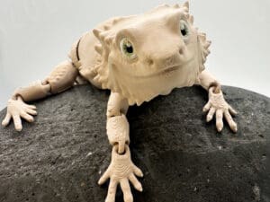 Beardie Buddy – Bearded Dragon Companion